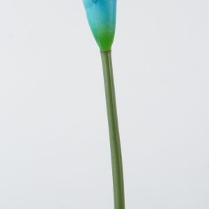 F-02 KALLA  BLUE