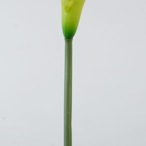 F-02 KALLA  GREEN
