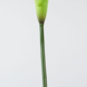 F-02 KALLA  GREEN-BLACK