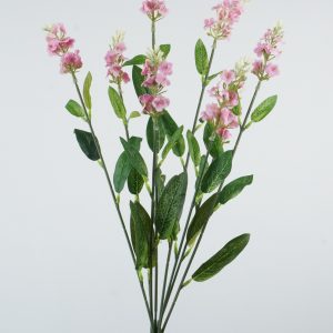 QH680468 SZAŁWIA  PINK