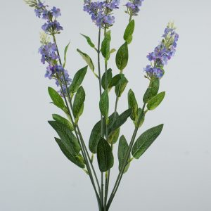 QH680468 SZAŁWIA  PURPLE-BLUE