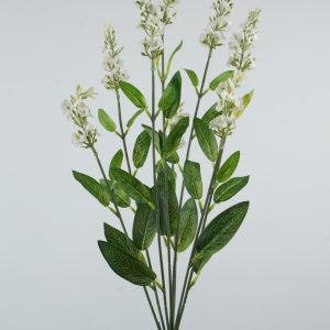QH680468 SZAŁWIA  WHITE