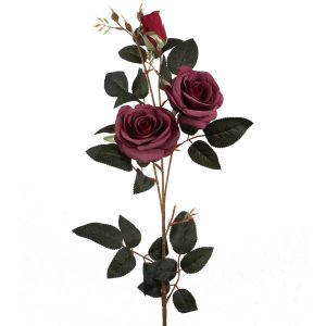 RÓŻA GAŁĄZKA F-22059 BURGUNDY