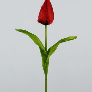 KP2304 TULIPAN POJEDYŃCZY RED