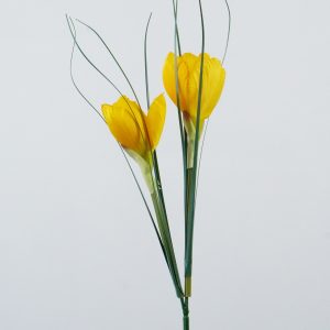KP8250 KROKUS YELLOW