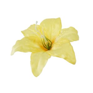 LILIA WYROBOWA WW2006 YELLOW