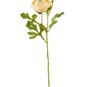 KAMELKA POJEDYNCZA F-3666 LT.PEACH