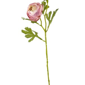 KAMELKA POJEDYNCZA F-3666 PINK-GREEN