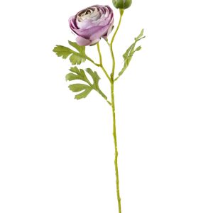 KAMELKA POJEDYNCZA F-3666 VIOLET