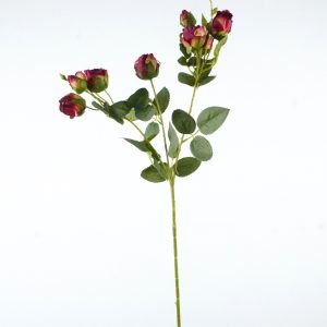 RÓŻA GAŁĄZKA F3758 BURGUNDY