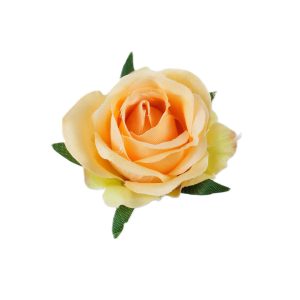 RÓŻA WYROBOWA MINI F-19105 PEACH-GREEN N06