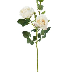 RÓŻA GAŁĄZKA F3643 CREAM