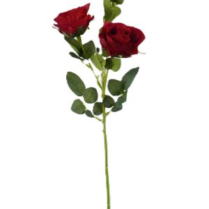 RÓŻA GAŁĄZKA F3643 RED