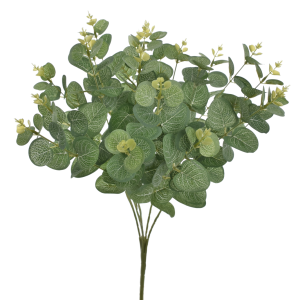 BUKIET EUKALIPTUS LIU007 GREEN