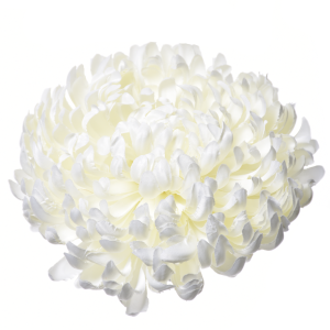 CHRYZANTEMA WYROBOWA ART009 #1 CREAM