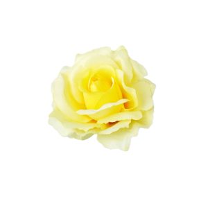 RÓŻA SONIA WYROBOWA WW6007 YELLOW