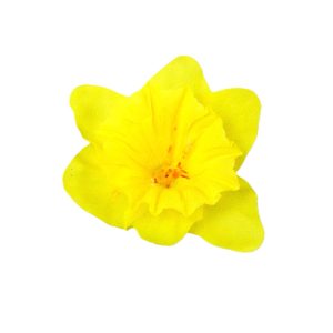 ŻONKIL WYROBOWY 17A023 YELLOW