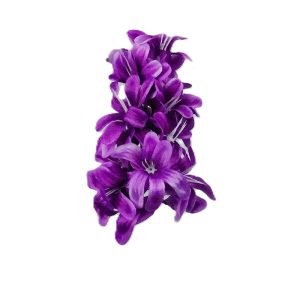 HIACYNT WYROBOWY WW2500 PURPLE