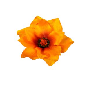 MAGNOLIA WYROBOWA L001A COFFEE