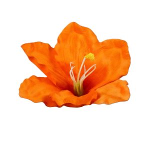 AMARYLIS WYROBOWY WW7039 ORANGE
