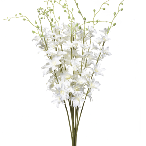 STORCZYK TAJLANDZKI SUN668 NEW CREAM