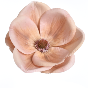 MAGNOLIA WYROBOWA WEI1017 SALMON