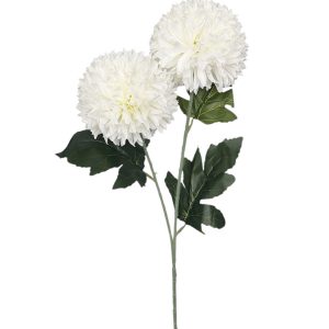 CZOSNEK GAŁĄZKA DL050586 CREAM