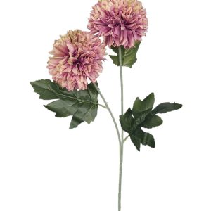 CZOSNEK GAŁĄZKA DL050586 DIRTY VIOLET GREEN