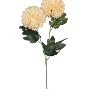 CZOSNEK GAŁĄZKA DL050586 LT.PEACH