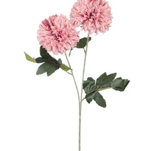 CZOSNEK GAŁĄZKA DL050586 PINK