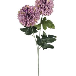 CZOSNEK GAŁĄZKA DL050586 VIOLET GREEN