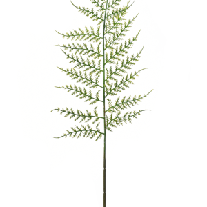 LIŚĆ PAPROĆ TIK131 GREEN