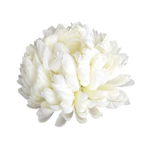 CHRYZANTEMA WYROBOWA ANANAS WW4014 CREAM #XYCR173