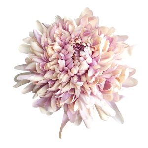 CHRYZANTEMA WYROBOWA RS003 LEMON LAVENDER