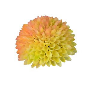 CZOSNEK WYROBOWY LY011 GOLD YELLOW