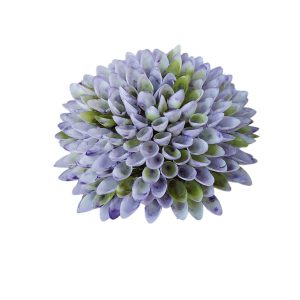 CZOSNEK WYROBOWY LY011 LT. LAVENDER