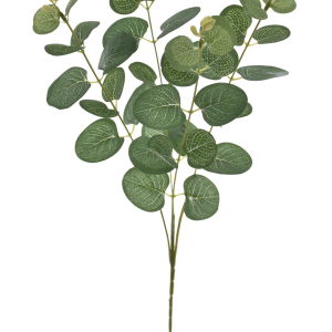 EUKALIPTUS GAŁĄZKA LIU465 GREEN