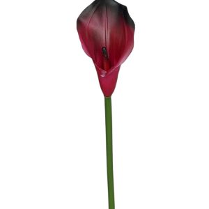 KALLA POJEDYNCZA ANA1013 BEAUTY BLACK