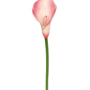 KALLA POJEDYNCZA ANA1013 LT.PINK