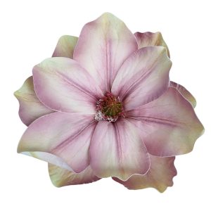MAGNOLIA WYROBOWA WEI1007 DIRTY VIOLET