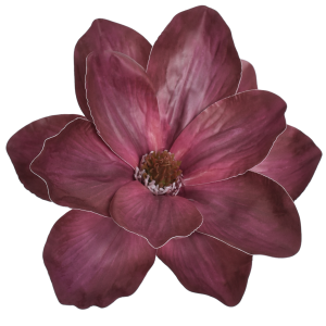 MAGNOLIA WYROBOWA WEI1007 DR.BEAUTY