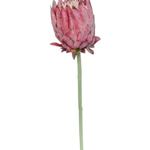 PROTEA POJEDYNCZA DL030505 DK.PINK CREAM