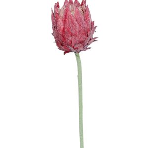 PROTEA POJEDYNCZA DL030505 RED