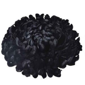 CHRYZANTEMA WYROBOWA ART009 #60 BLACK
