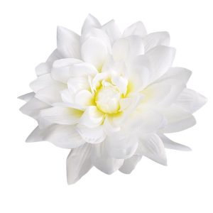 DALIA WYROBOWA H309 CREAM