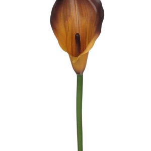 KALLA POJEDYNCZA ANA1013 #33S GOLD BROWN