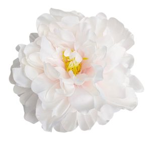 PIWONIA WYROBOWA L057 CREAM PINK