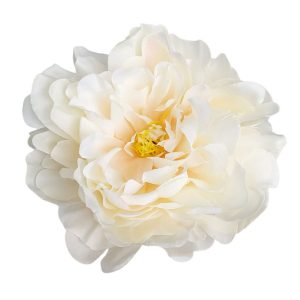 PIWONIA WYROBOWA L057 CREAM YELLOW