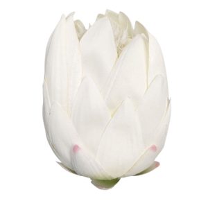PROTEA WYROBOWA DL030504 CREAM