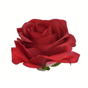 RÓŻA WYROBOWA SUN385 RED
